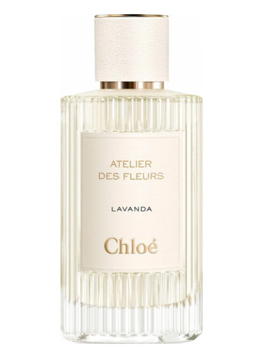 Lavanda Chloé