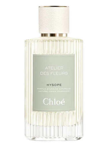 Hysope Chloé